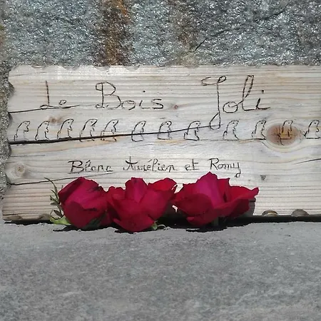 Le Bois Joli 3* Bonneval-sur-Arc